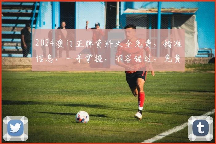 2024澳门正牌资料大全免费，精准信息，一手掌握，不容错过，免费获取