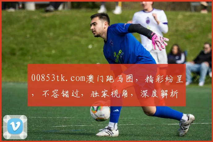 00853tk.com澳门跑马图，精彩纷呈，不容错过，独家视角，深度解析
